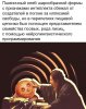 z-HhKO7hUm8.jpg
