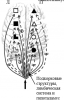 upload_2021-3-9_18-42-24.png